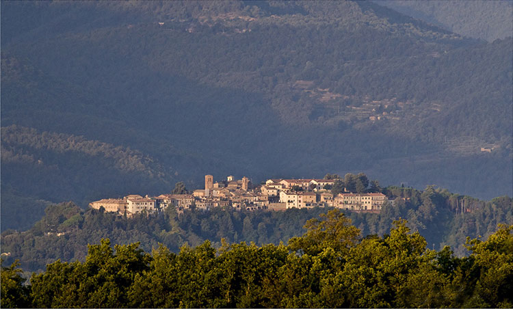09.citerna