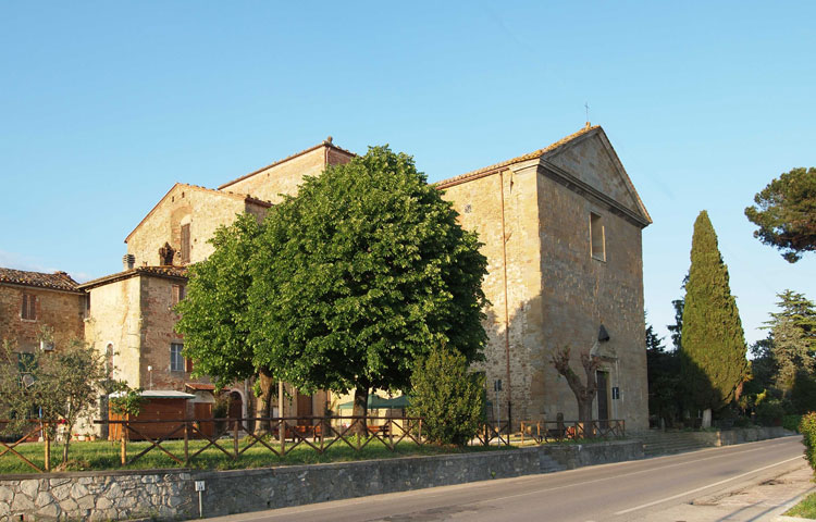 11.oliveto